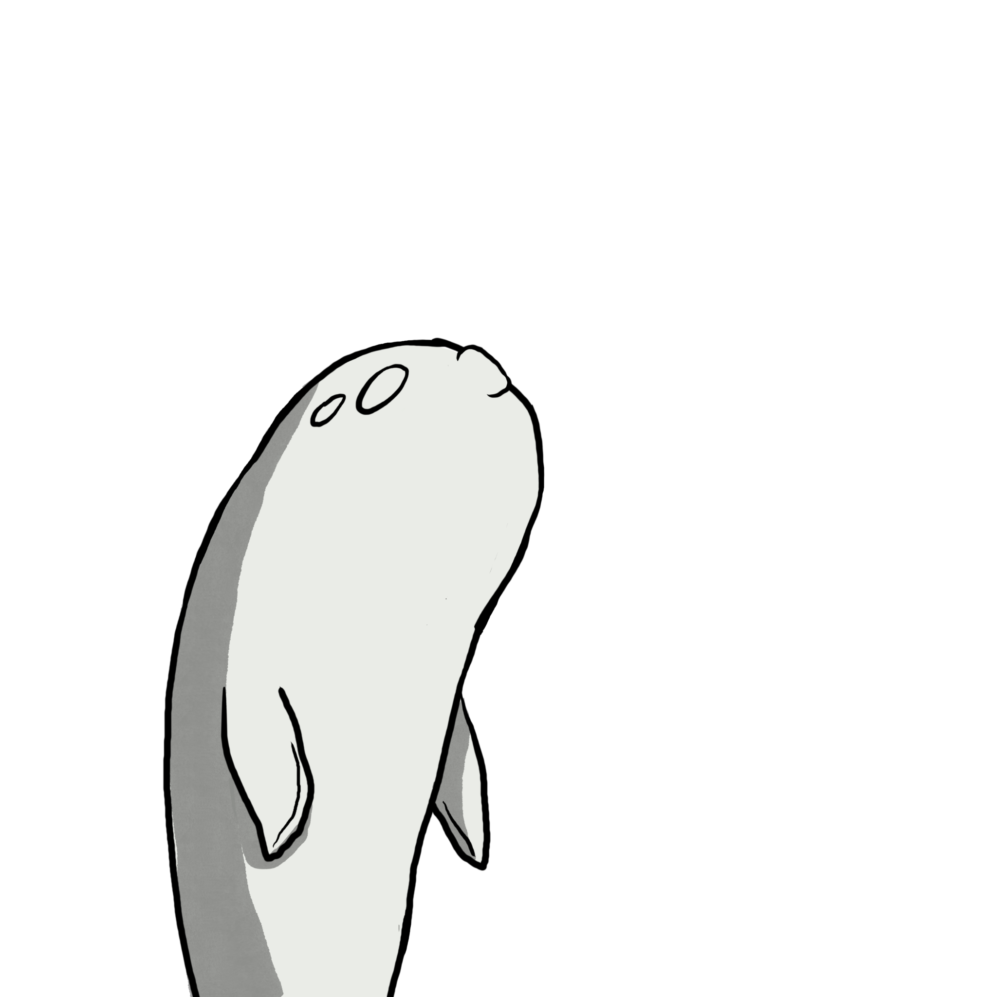 Whale