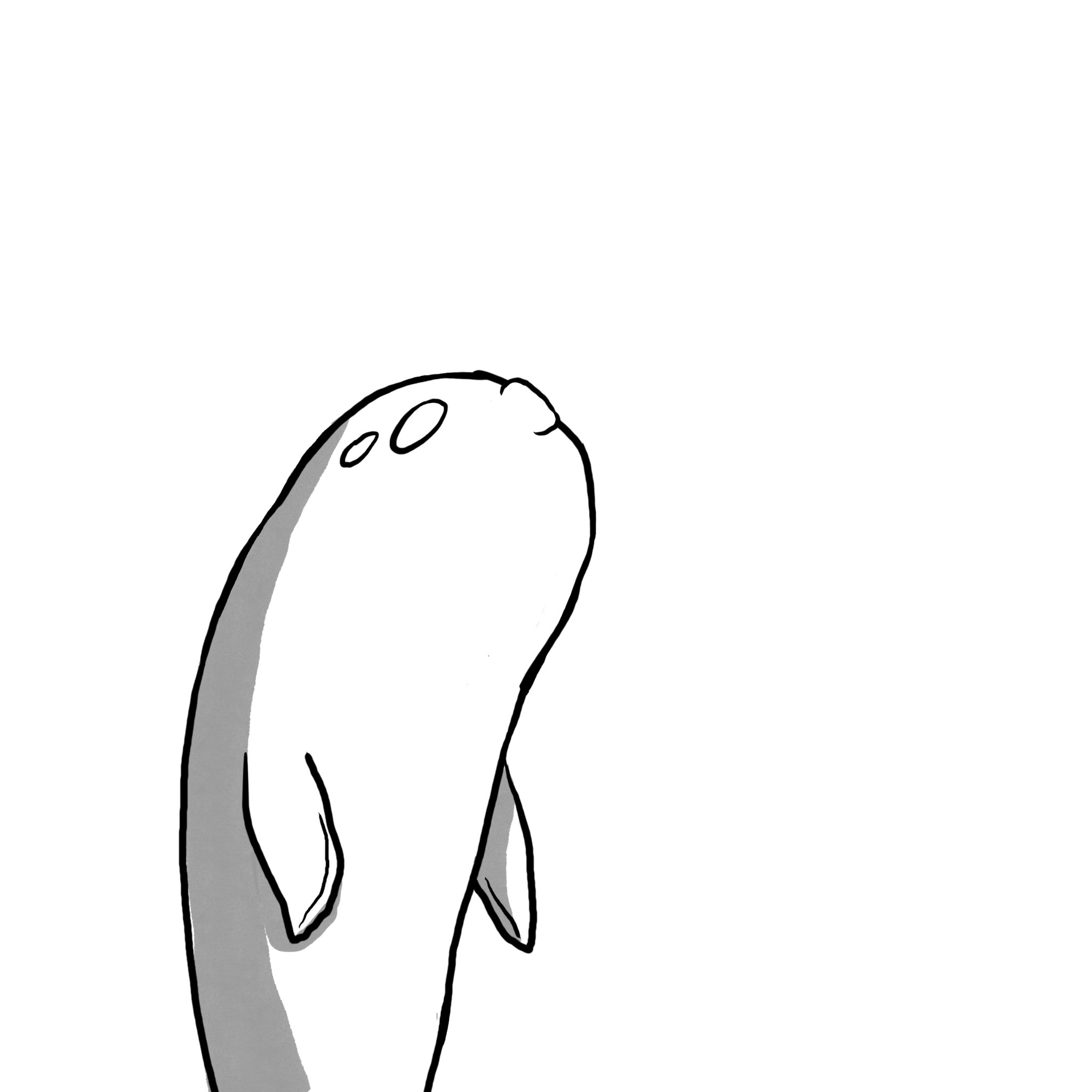 Whale